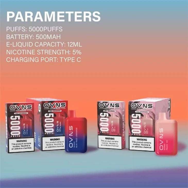 DC5000 Disposable Vape Device