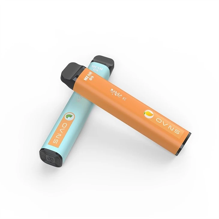 E Cigarette Vape Pen Disposable Vaporizer
